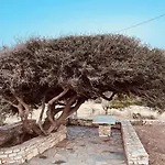 Anevalousa House Μουτσούνα