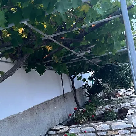 Anevalousa House * Moutsoúna