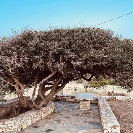 Anevalousa House Moutsoúna