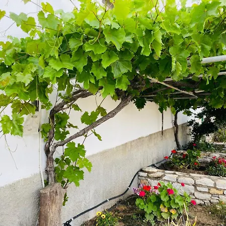 Anevalousa House * Μουτσούνα