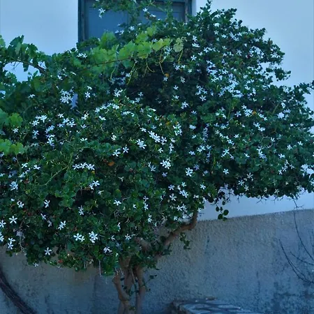 Nyaraló Anevalousa House Mucúna