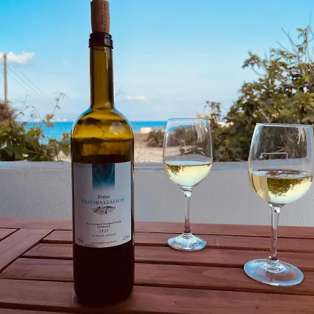 Anevalousa House 펜션 Moutsoúna