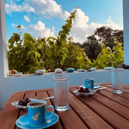 Anevalousa House Moutsoúna