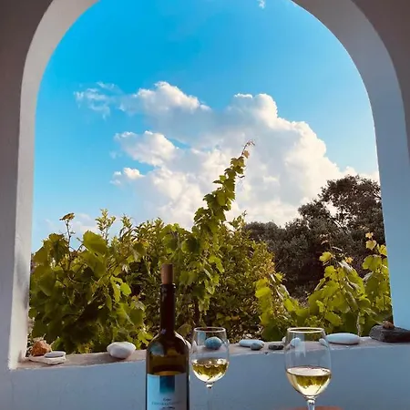 Nyaraló Anevalousa House