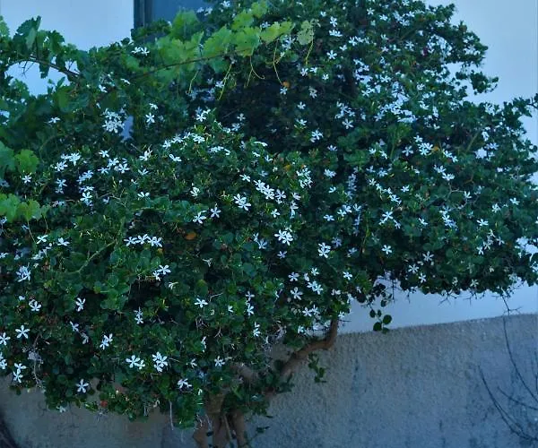 Сasa de vacaciones Anevalousa House Moutsoúna