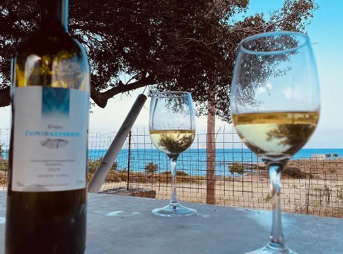 Anevalousa House 別荘 *