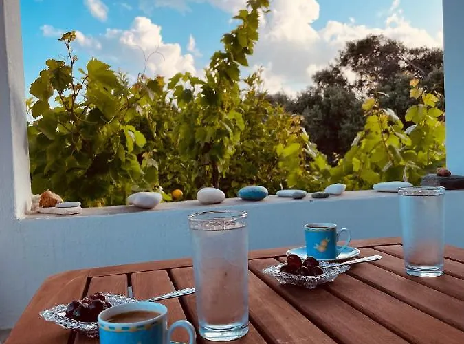 Anevalousa House Μουτσούνα